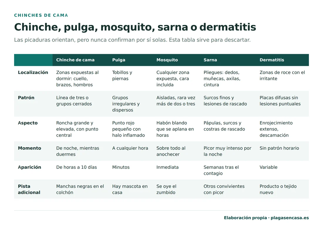 Tabla comparativa de picaduras de chinche, pulga, mosquito, sarna y dermatitis según localización, patrón, aspecto, momento del día, tiempo de aparición y pista adicional.