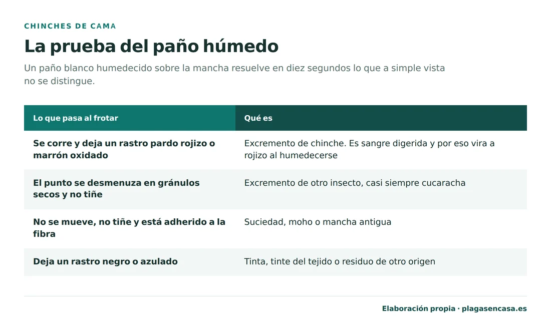 Resultados de la prueba del paño húmedo sobre una mancha negra del colchón: si se corre en pardo rojizo es excremento de chinche, si se desmenuza en gránulos secos es de otro insecto, si no se mueve es suciedad o moho y si deja rastro azulado es tinta.