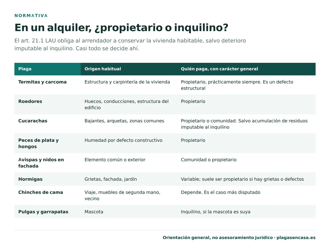 Tabla de quién paga la plaga en un piso de alquiler según el tipo: termitas y carcoma, roedores y peces de plata corresponden al propietario por ser defecto estructural; cucarachas al propietario o la comunidad salvo acumulación de residuos del inquilino; chinches es el caso más disputado; y pulgas y garrapatas al inquilino si la mascota es suya.
