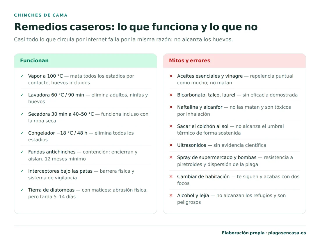 Lista de remedios caseros contra las chinches separados en los que funcionan (vapor a 100 grados, lavadora a 60 grados, secadora, congelador, fundas antichinches, interceptores y tierra de diatomeas) y los que son mito o contraproducentes (aceites esenciales, vinagre, bicarbonato, laurel, naftalina, sol, ultrasonidos, spray de supermercado, bombas insecticidas, cambiar de habitación, alcohol y lejía).