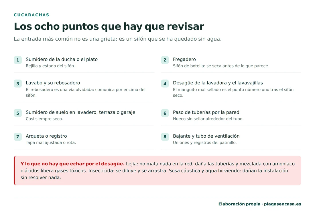 Los ocho puntos que hay que revisar cuando salen cucarachas del desagüe: sumidero de la ducha, fregadero, lavabo y su rebosadero, desagüe de la lavadora y el lavavajillas, sumidero de suelo, paso de tuberías por la pared, arqueta o registro, y bajante y tubo de ventilación.