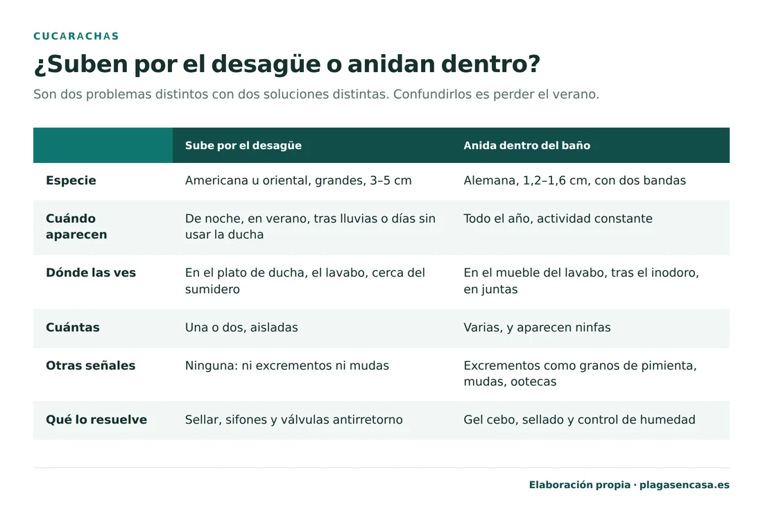 Tabla de las dos situaciones posibles con cucarachas en el baño: que suban por el desagüe, lo que corresponde a americanas u orientales grandes de 3 a 5 centímetros que aparecen aisladas sin dejar otras señales y se resuelve sellando y con válvulas antirretorno; o que aniden dentro del baño, lo que corresponde a alemanas de 1,2 a 1,6 centímetros con ninfas, excrementos y ootecas, y se resuelve con gel cebo y control de humedad.