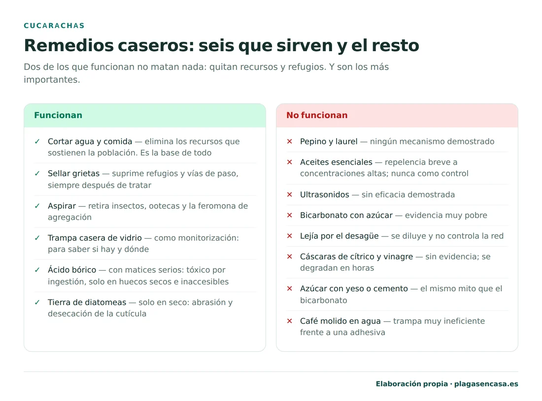 Lista de los remedios caseros contra las cucarachas separados entre los que funcionan —cortar agua y comida, sellar grietas, aspirar, trampa casera de vidrio, ácido bórico en huecos secos y tierra de diatomeas en seco— y los que no funcionan —pepino y laurel, aceites esenciales, ultrasonidos, bicarbonato con azúcar, lejía por el desagüe, cáscaras de cítrico, vinagre, azúcar con yeso y café molido en agua.
